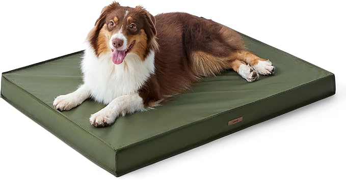Lesure Outdoor Waterproof Dog Bed Medium Size Dogs, Orthopedic Egg Crate Foam Pet Bed with Oxford Fabric Surface and Removable Washable Cover, Pet Mat 30''x20'', Green