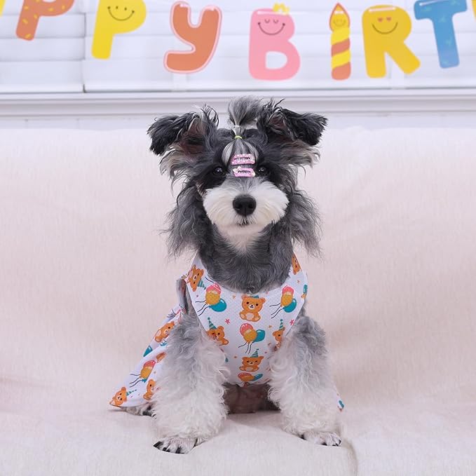 CuteBone Dog Mesh Dress Puppy Sundress Pet Outfit Summer Fashion for Small Dogs Girl Cat Clothes BF40XS