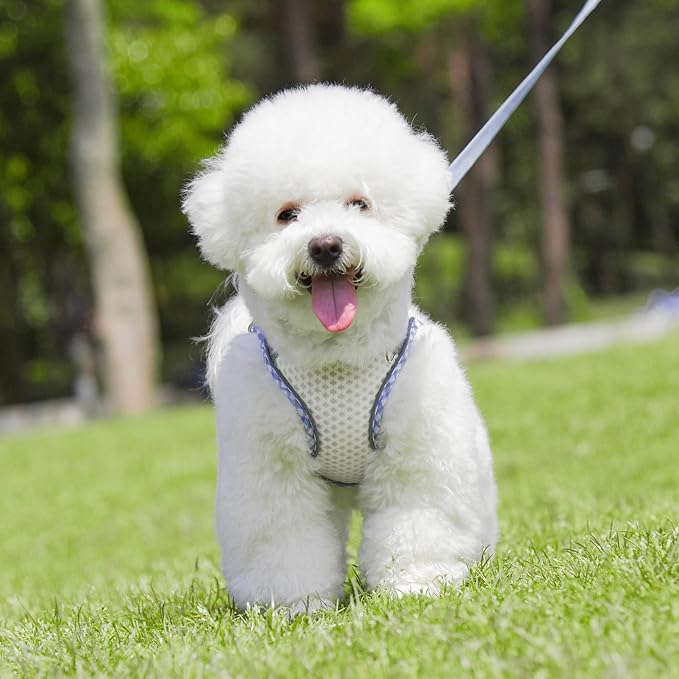 Summer Soft Dog Harness and Leash Set,Ultra Thin Breathable Diamond Mesh, Step in Adjustable Dog Harness with Padded Vest for Medium Size Dogs in Hot Weather White L