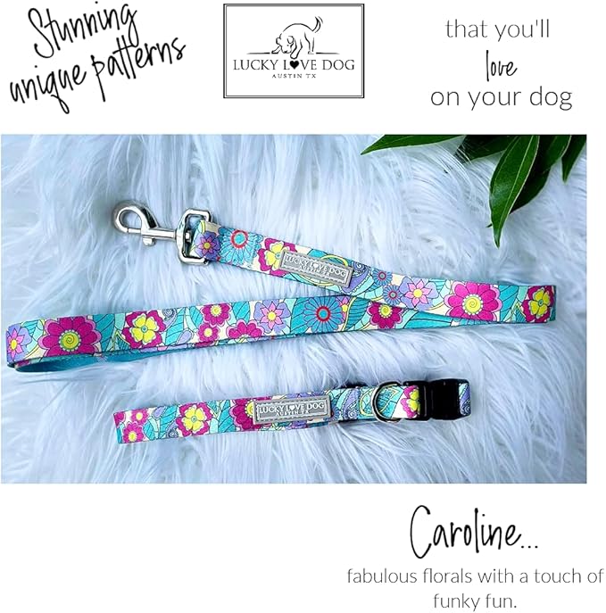 Lucky Love Dog Collar and Leash Combo, Cute Collar and Leash Set for Large Female Dogs, Part of Purchase Donated to Rescue (Large, Caroline, Combo)