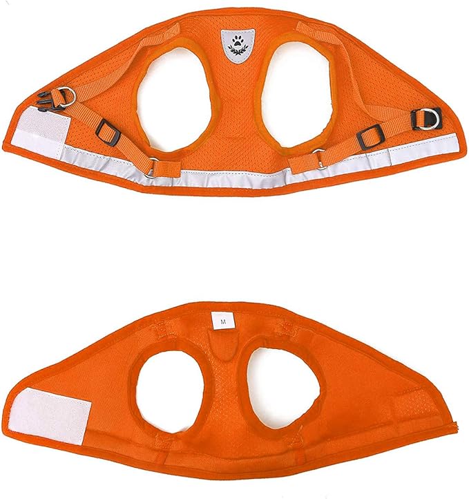 FEimaX Dog Harness and Leash Set for Walking, Soft Mesh Adjustable Easy Control Lightweight Cat Vest Harnesses with Reflective Strips, Escape Proof Small Dogs Cats Vests (Orange, Large)