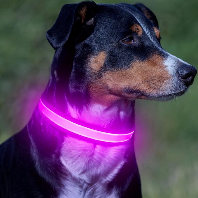 VIZPET LED Dog Collar, Light Up Dog Collar Adjustable USB Rechargeable Super Bright Safety Light Glowing Collars for Dogs (Purple, Large[18.89-23.62 inch/48-60cm])