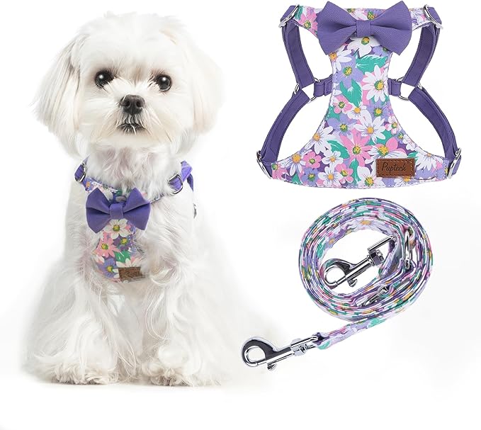 PUPTECK Dog Harness and Leash Set Small Sized, Step-in Cute Puppy Harness, Soft Lightweight Padded Vest, Escape Proof No Pull Pet Harnesses Easy for Walking, Flower Purple, XS