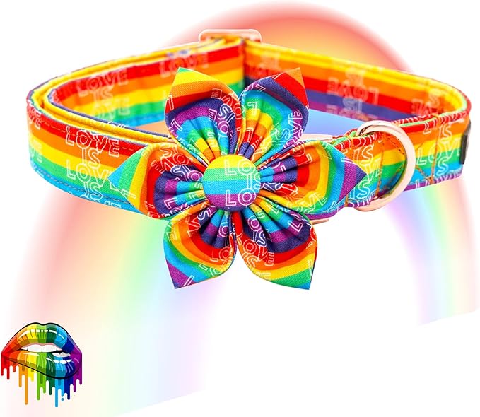 Elegant little tail Dog Collar, Rainbow Flag Dog Collar Flower LGBT Flower Dog Collars Holiday Pet Gift Adjustable Soft Puppy Collar for Medium Dogs