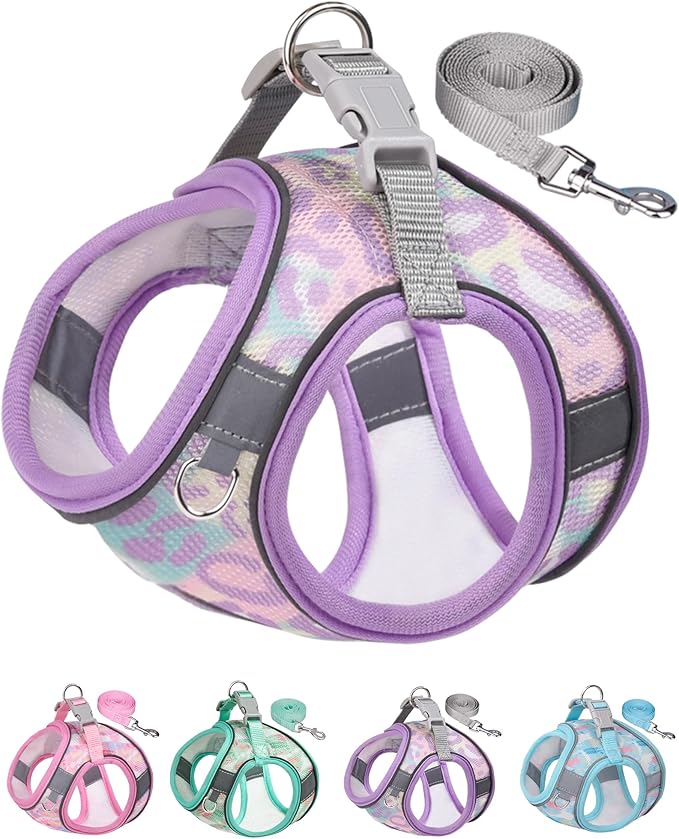 Dog Harness (Purple, S) - Jacquard Fabric, Easy Step-in, No Pull, Reflective Strip, Small Dog Harness and Leash Set