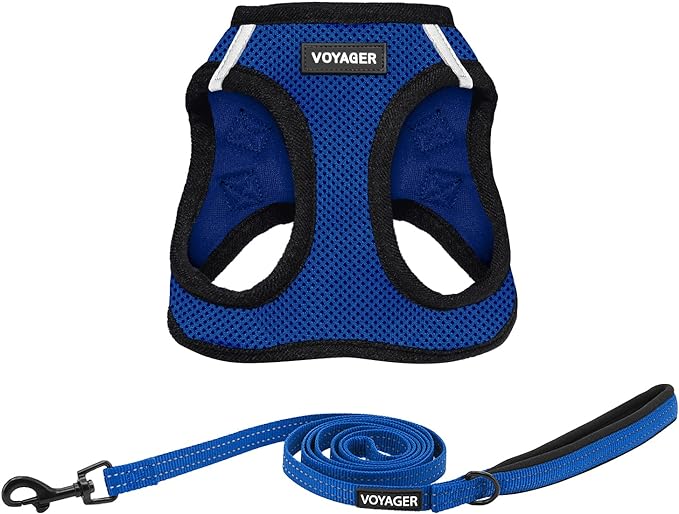 Voyager Step-in Air All Weather Mesh Harness and Reflective Dog 5 ft Leash Combo with Neoprene Handle, for Small, Medium and Large Breed Puppies by Best Pet Supplies - Blue, Large