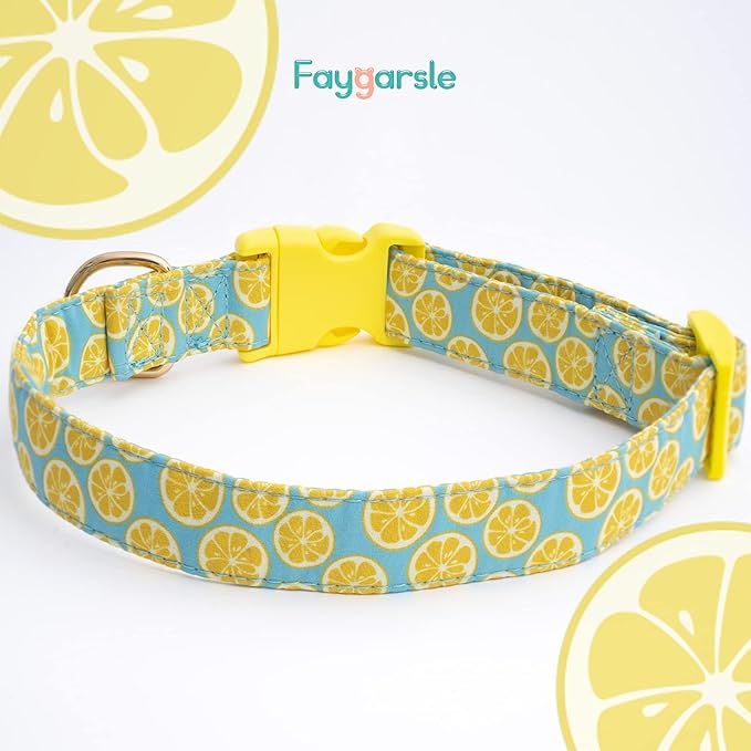 Faygarsle Cute Dog Collar for Girls Boy Dogs Soft Fancy Pet Collar with Lemon Design Ideal Yellow Green Summer Dog Collar for Small Medium Large Dogs XS