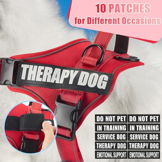 Dog Vest Harness and Leash Set, Animire Reflective Service Dog Vest with 10 Patches, 3 Rings No Choke Pet Vest for Leash Placement, in Training Dog Harness for Small Medium Large Dogs(Red,XL)