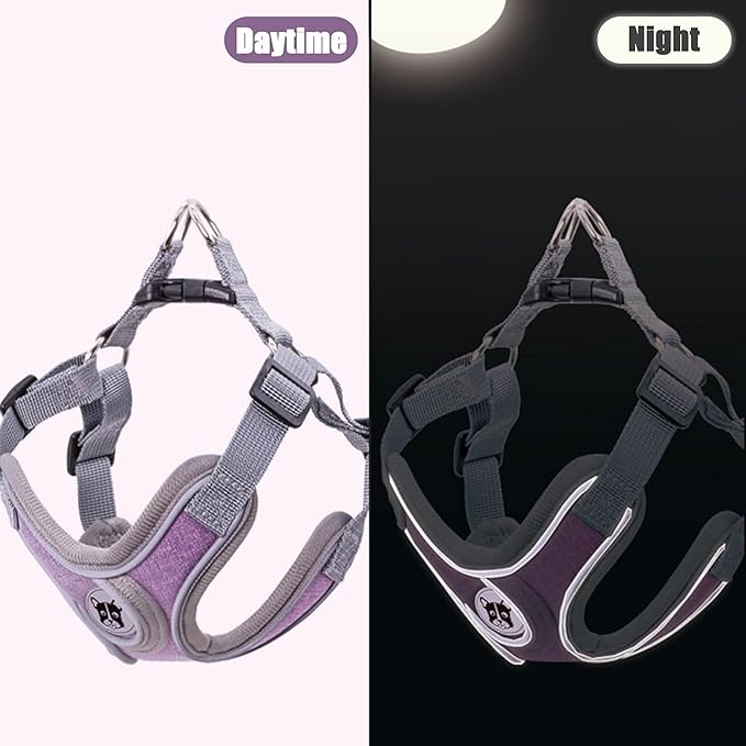 Puppy Harness and Leash Set,No Pull Adjustable Step in Soft Mesh Vest Harness,Easy Walk Reflective Pet Harness with Padded Handle for Walking Training Small Medium Large Dogs and Cats (Purple, XS)