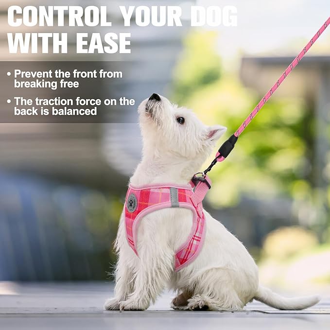 BEAUTYZOO Small Dog Harness and Leash Set, Step in No Choke No Pull Soft Mesh Dog Harnesses Reflective for Small Medium Puppy Dogs and Cats, Plaid Dog Vest Harness for S M Pets, Light Pink XXS
