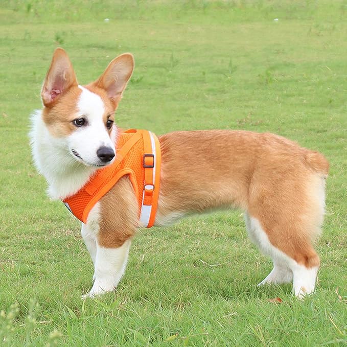 FEimaX Dog Harness and Leash Set for Walking, Soft Mesh Adjustable Easy Control Lightweight Cat Vest Harnesses with Reflective Strips, Escape Proof Small Dogs Cats Vests