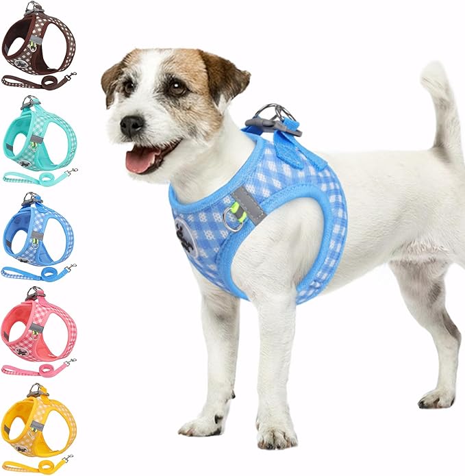 Gyuzh Dog Harness and Leash Set,Soft Mesh Breathable Small Dog Harness,Reflective Adjustable Puppy Harness,No Pull Pet Harness for Small Dogs and Cats