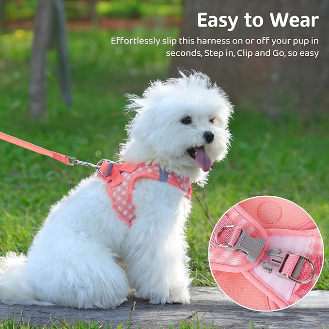Gyuzh Dog Harness and Leash Set,Soft Mesh Breathable Small Dog Harness,Reflective Adjustable Puppy Harness,No Pull Pet Harness for Small Dogs and Cats