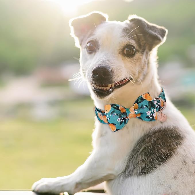 Dog Collar with Bow Tie, Durable Comfortable Cotton Dog Bowtie Collar with Metal Buckle for Large Dog Girl Boy, Summer Cute Dog Collar, L