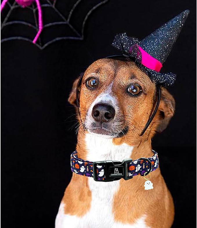 Lionheart glory Dog Collars Fall Halloween Pumpkin Collar Dog Heavy Comfortable Adjustable Dog Collar for Large Dogs, Ghost, Pumpkin