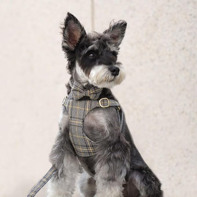 Beirui Cute Small Dog Harness Collar and Leash Set with Bowtie, Soft Adjustable Plaid Puppy Harness for Small Sized Dogs Cats Walks Parties and Photoshoots(Gray,XXS:Chest 12-14")