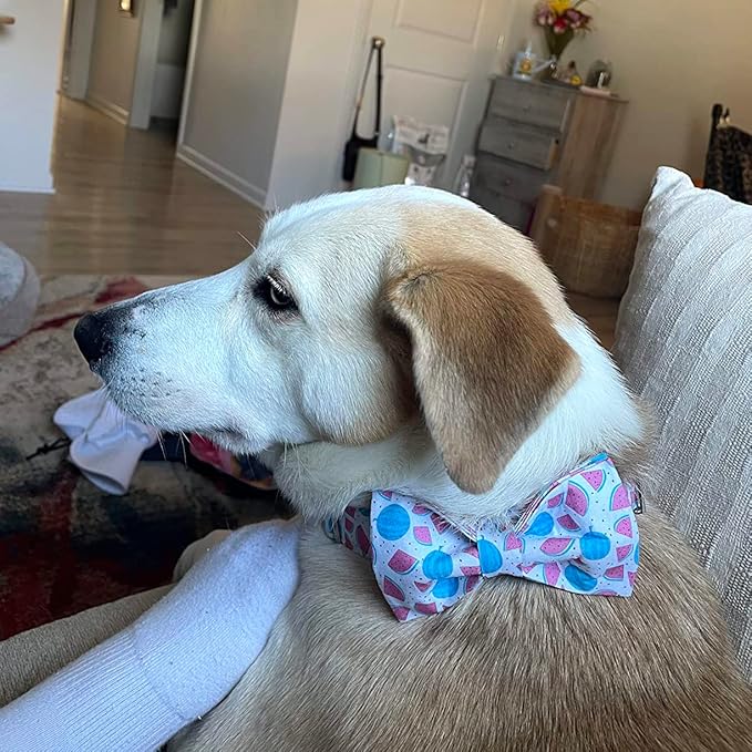 Bow Tie Dog Collar, Durable Comfortable Cotton Cute Dog Collar with Bowtie for X-Large Dog Girl Boy, Summer Dog Collar with Metal Buckle, XL