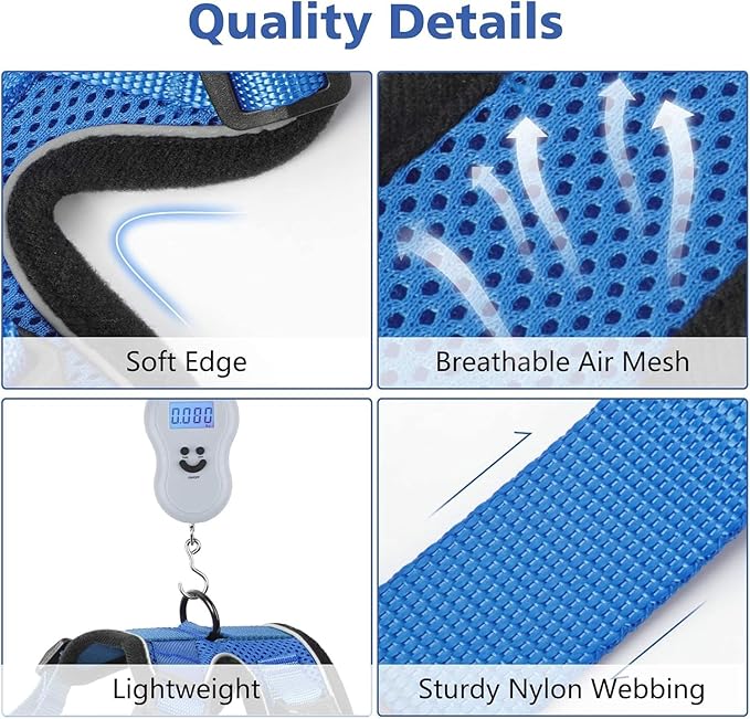 Dooradar Cat Harness and Leash Set, Escape Proof Safe Adjustable Kitten Vest Harnesses for Walking, Easy Control Soft Breathable Mesh Jacket with Reflective Strips for Cats, Blue, XXS