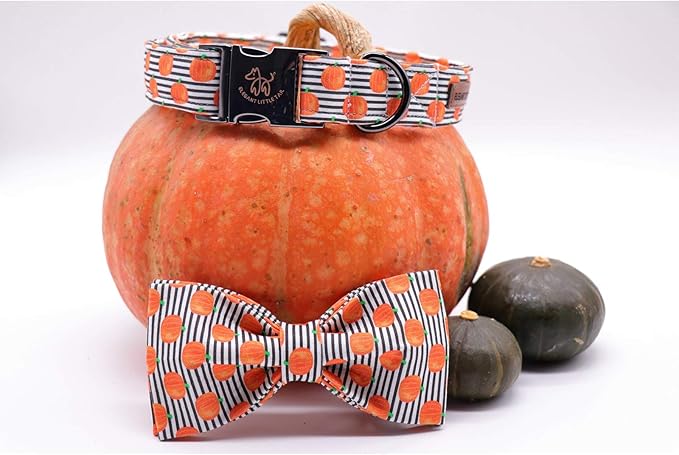 Elegant little tail Halloween Dog Collar, Pumpkin Print Pet Collar Bowtie Dog Collar Holiday Adjustable Pet Gift Collars for Small Medium Large Dogs