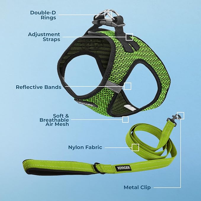 Voyager Step-in Air All Weather Mesh Harness and Reflective Dog 5 ft Leash Combo with Neoprene Handle, for Small, Medium and Large Breed Puppies by Best Pet Supplies - Lime Green (2-Tone), S