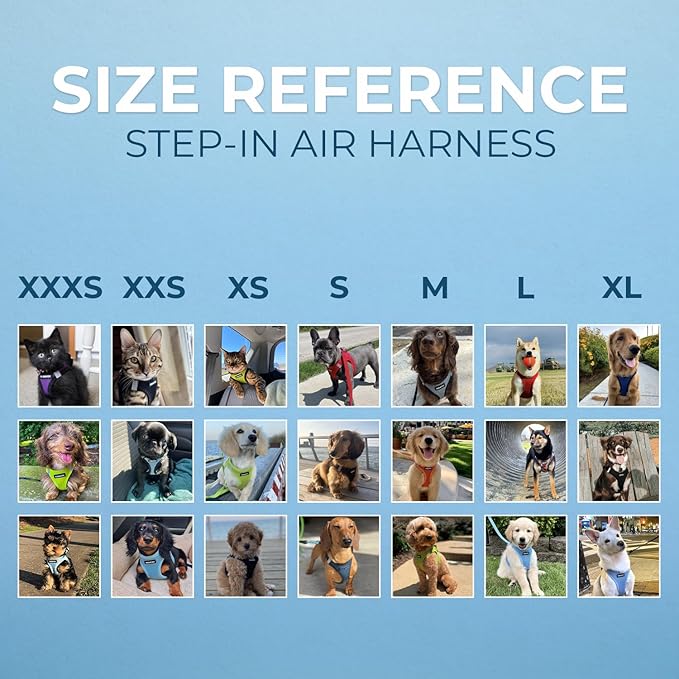 Voyager Step-in Air All Weather Mesh Harness and Reflective Dog 5 ft Leash Combo with Neoprene Handle, for Small, Medium and Large Breed Puppies by Best Pet Supplies - Set (Baby Blue), L