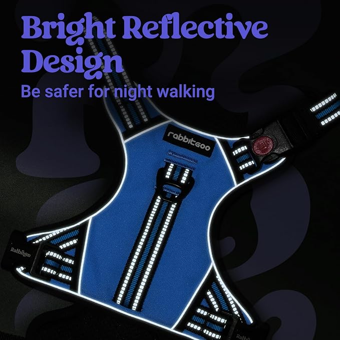 rabbitgoo Dog Harness for Large Dogs, No Pull Pet Harness with Soft Padded Handle, Adjustable Reflective Vest with 3 Buckles, Easy Walking Harness with 2 Leash Clips, Light Blue, XL