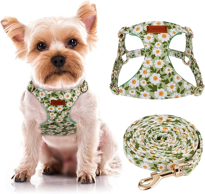 CHEDE No Pull Floral pattern Dog Harness- Lightweight and Soft Dog Harness, Adjustable Small Dog Harness and Leash Set, with Dog Leash, Suitable for Puppy Small and Medium-sized Dog (XXS, Green Daisy)