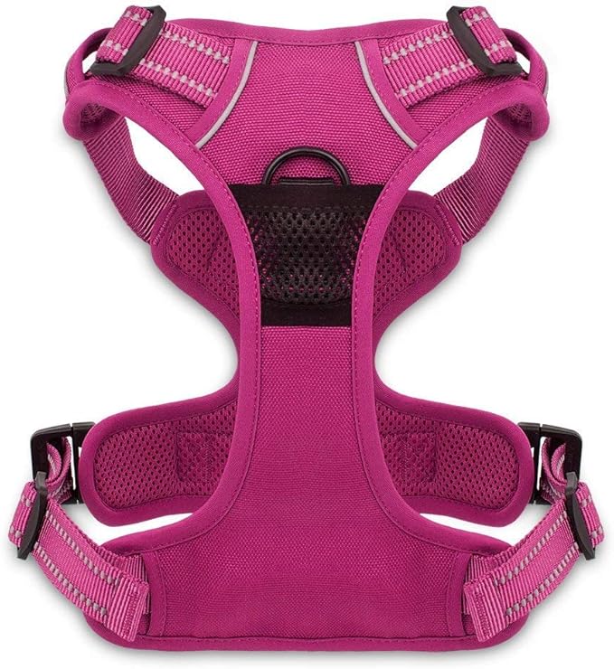 No Pull Dog Harness for Small Dogs, Dual Leash Attachments, Adjustable Soft but Strong Pet Harness with 3M Reflective Technology, Fuchsia Nylon, S (Chest: 16-20")