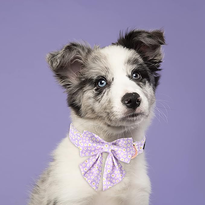 Lionet Paws Spring Dog Collar with Sailor Bow, Soft Comfortable Adjustable Cute Daisy Collar for Dogs, Medium, Neck 13.5-22 inches