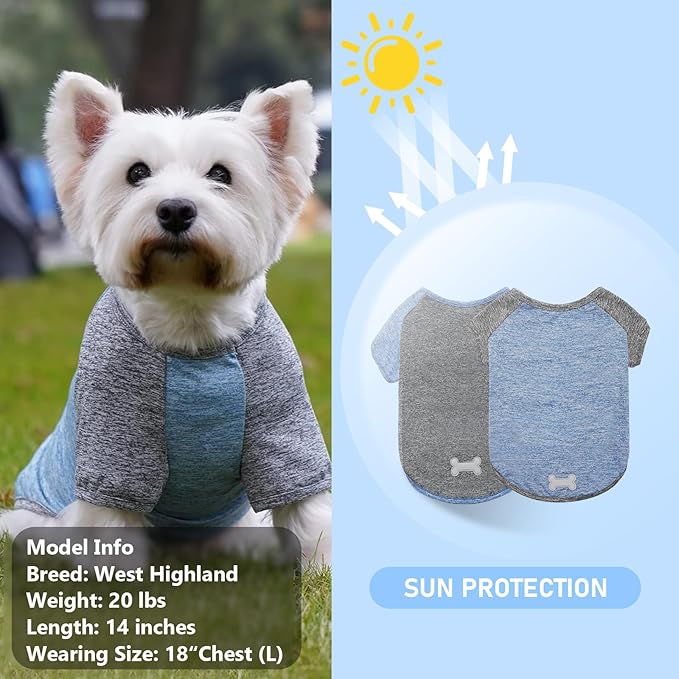 KYEESE 2 Pack Dog Shirts Quick Dry Raglan Sleeve Quick Dry Soft Stretchy Small Medium Dog T-Shirts with Reflective Label Lightweight Dogs Clothes