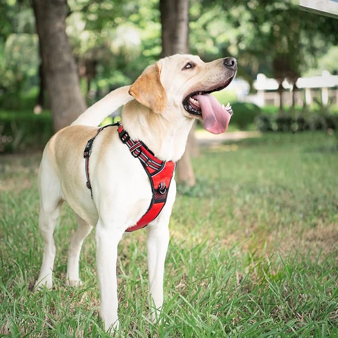 PoyPet No Pull Dog Harness, [Release on Neck] Reflective Adjustable No Choke Pet Vest with Front & Back 2 Leash Attachments, Soft Control Training Handle for Small Medium Large Dogs(Red,L)