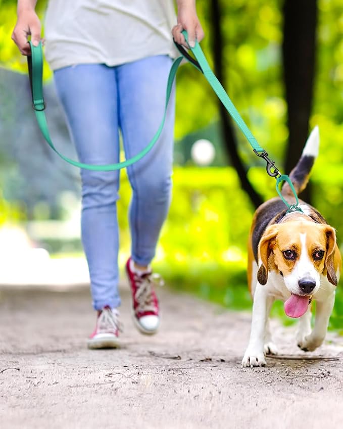 FunTags Reflective Martingale Collar for Dogs, Quick Release Buckle, 5FT Double Handle Dog Leash Padded, Dog Collar and Leash Set, Adjustable for Small Dogs (Turquoise, S)