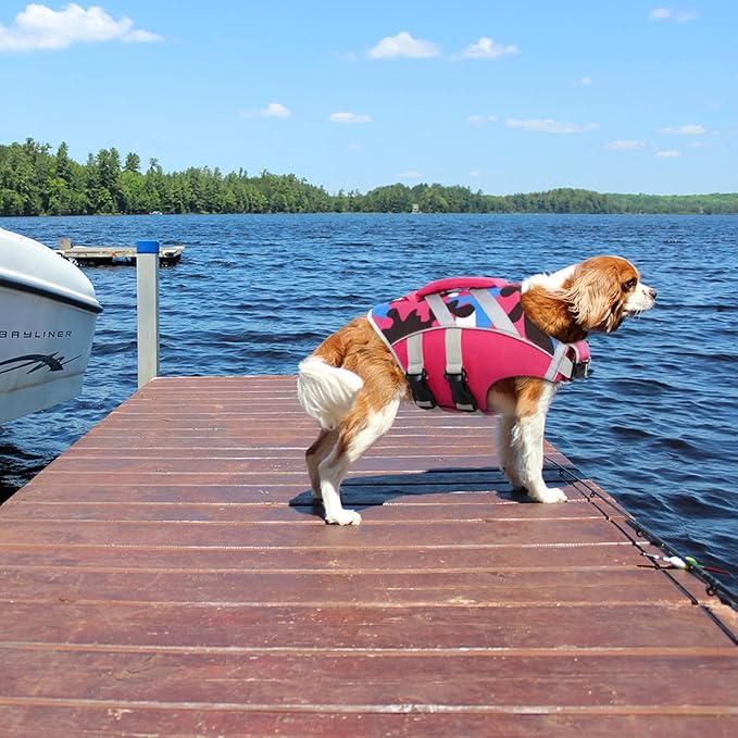 Kuoser Dog Life Jacket with Adjustable High Visibility Stripes - Ripstop Dog Lifesaver Pet Preserver with High Flotation Swimsuit for Small to Large Dogs