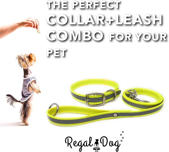 Regal Dog Products Small Yellow Reflective Dog Collar and Leash Set - Waterproof Biothane Dog Collar with Heavy Duty Double Buckle, D Ring & 5ft Leash - Other Size for Medium & Large Dogs