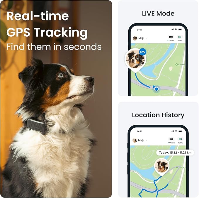 Tractive GPS Dog Tracker (2025 Release) | Real-time Pet Location Tracker | Health & Wellness Alerts | Virtual Fence for Dogs | Bark Monitoring | Dog Collar Attachment (Black)