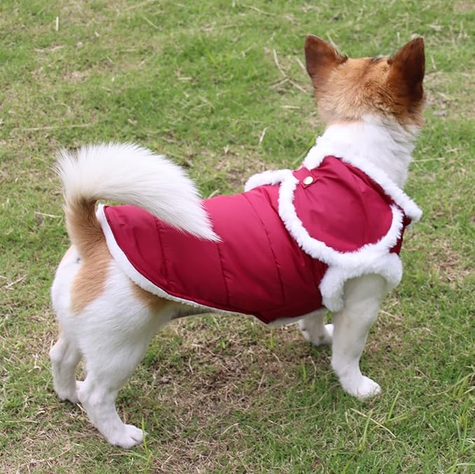 Shawl Design Fleece Lined Warm Dog Jacket for Winter Cold Weather,Soft Windproof Medium Dog Coat,Red XL