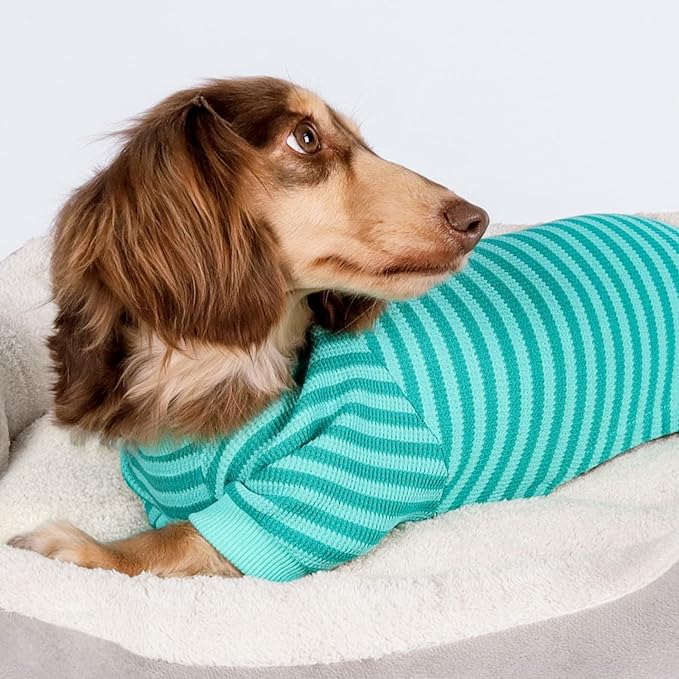 Fitwarm Green and Teal Striped Dog Pajamas, Waffle Dog Clothes for Small Dogs Girl Boy, Puppy Onesie with Feet, Pet Cat Outfit, XXL