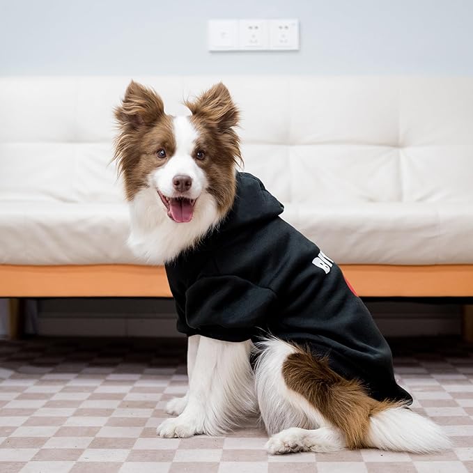 EXPAWLORER Dog Hoodies- Fall Soft and Warm Dog Sweatshirt with Leash Hole, Winter Autumn Fleece Pet Clothes with Bitches Love ME Print for Puppy,Cat, Small Medium Large Dogs