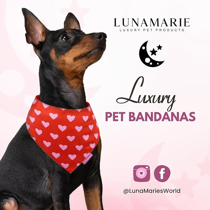 Luxury Pet Birthday Bandanas -Premium & Silky Poly Fabric | 100% Handmade | Custom Shape Dual Layered (Evie Hearts, X-Small)