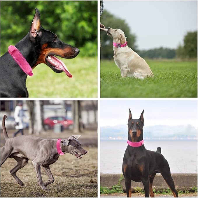 Tactical Dog Collar with Heavy Duty Metal Buckle and Control Handle for Medium Large Dogs Training(Pink, Large)