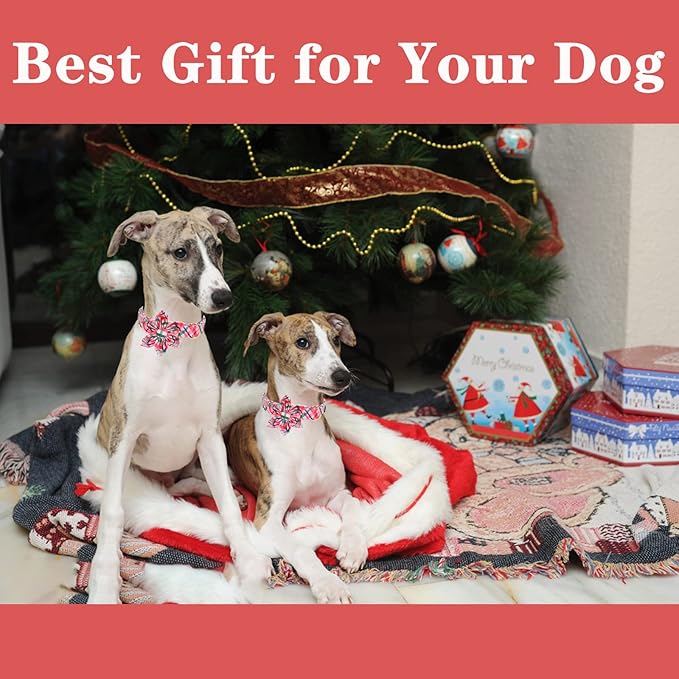 Unique style paws Dog Collar with Flower Pink & Green Plaid Dog Collar Best Gifts for Small Medium Large Dogs -XS