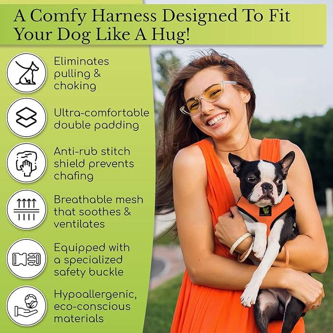 EcoBark Dog Harness - Eco-Friendly Max Comfort Harnesses - Luxurious Soft Mesh Halter - Over The Head Harness Vest- No Pull and No Choke for Puppy, Toy Breeds & Small Dogs (Medium, Green)