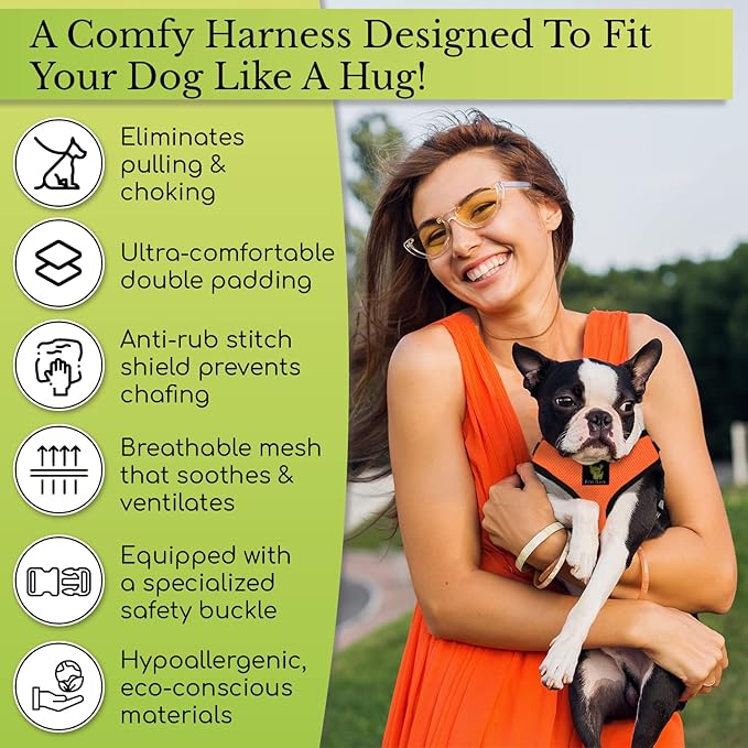 EcoBark Dog Harness - Eco-Friendly Max Comfort Harnesses - Luxurious Soft Mesh Halter - Over The Head Harness Vest- No Pull and No Choke for Small, Toy Breed, and Teacup Dogs (XS, Teal Blue)