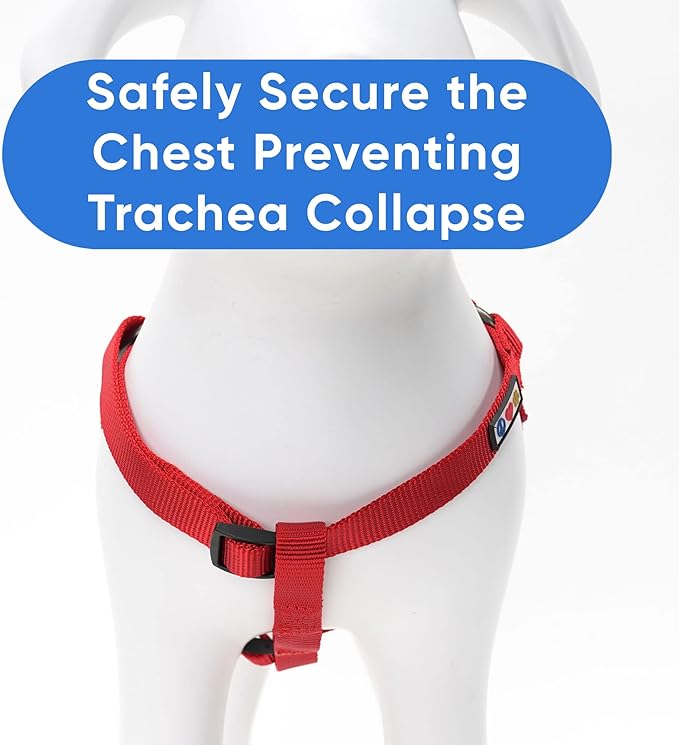 Pawtitas Solid Color Step in Dog Harness or Vest Harness Dog Training Walking of Your Puppy Harness Small Dog Harness Red Dog Harness