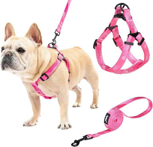 PUPTECK No Pull Dog Harness Soft Adjustable Basic Nylon Step in Puppy Vest Outdoor Walking with Leash Medium Printed Pink