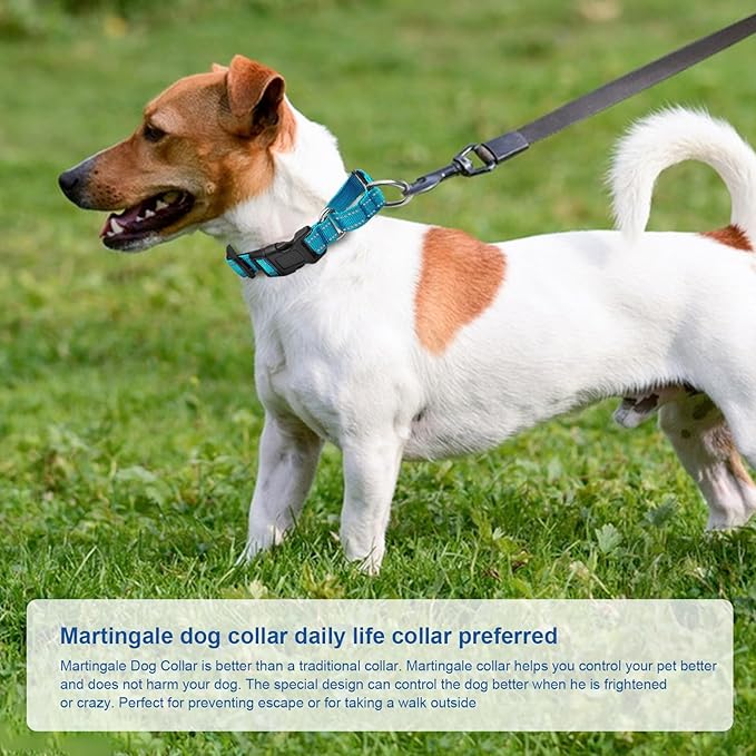 Reflective Martingale Dog Collars. Dog Collar with Quick Release Buckle. Adjustable Soft Padded Breathable Nylon Pet Collar Suitable for Puppies for Small Medium Large Dogs.