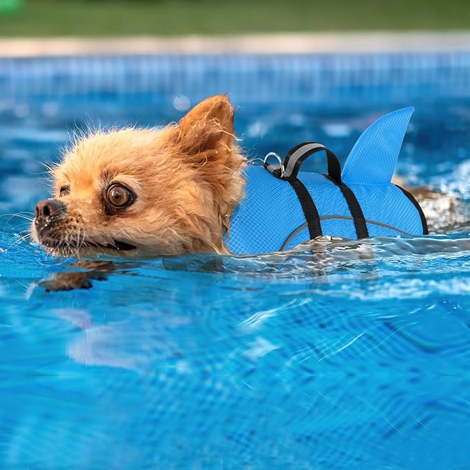 Queenmore Small Dog Life Jacket,Shark Dog Life Vest for Swimming,Puppy Light Life Preserver for Boating Kayaking Canoeing,Pet Lifesaver with High Buoyancy,Rescue Handle,Leash Hook (Peacock Blue,M)