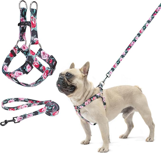 BEAUTYZOO No Pull Dog Harness and Leash Set - Adjustable Step-in Puppy Harness for Small Medium Large Dogs, Escape Proof Soft Nylon Vest with Double D Ring for Walking Running Training, Black S