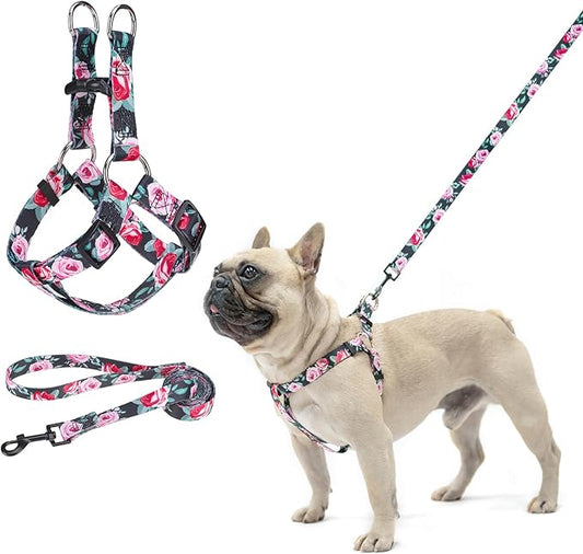 BEAUTYZOO No Pull Dog Harness and Leash Set - Adjustable Step-in Puppy Harness for Small Medium Large Dogs, Escape Proof Soft Nylon Vest with Double D Ring for Walking Running Training, Black S