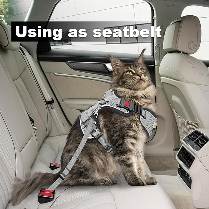 Cat Harness and Leash for Walking, Retractable Cat Harnesses and Leash Set Escape Proof, Breathable Soft Kitten Small Large Harness for Travel Training and Walking, Grey, M